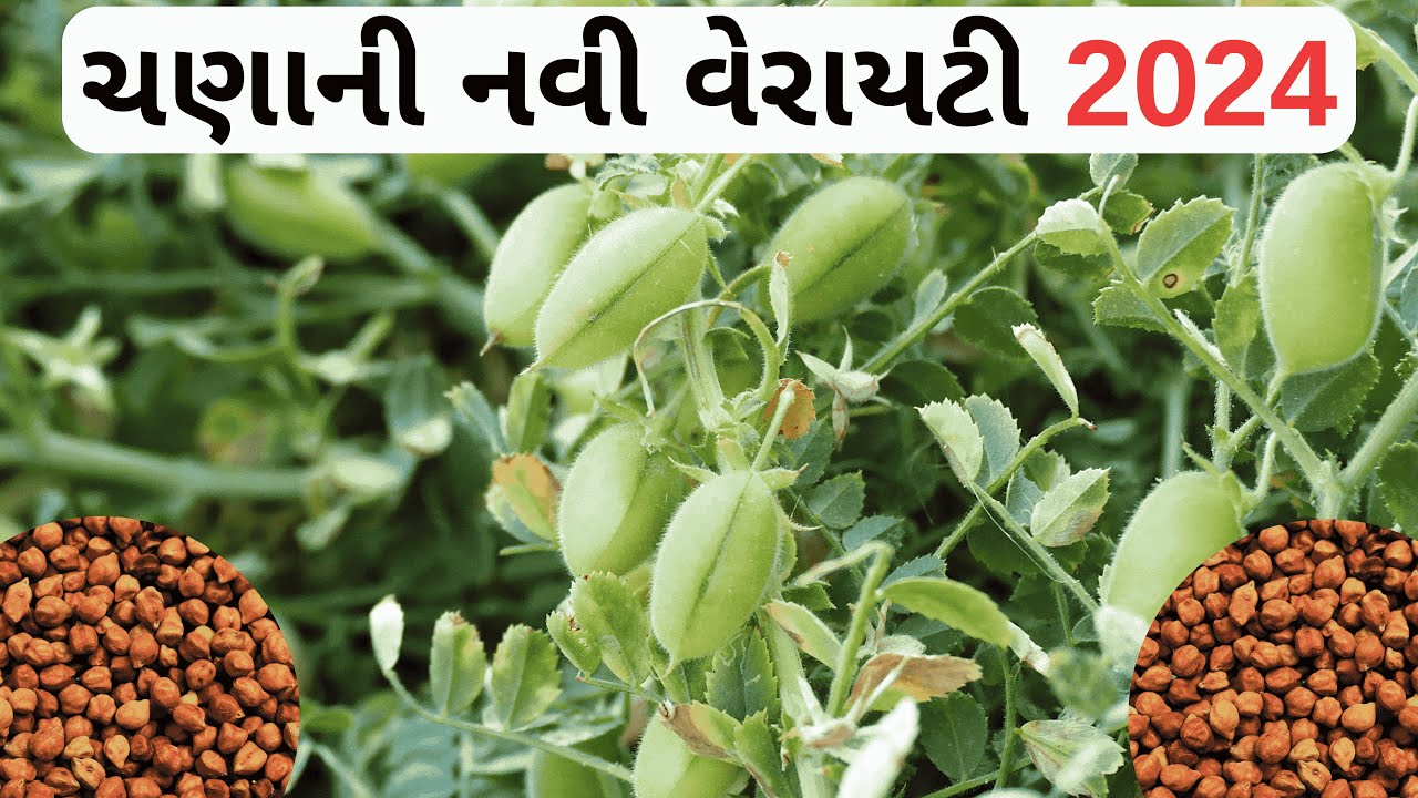 Top News